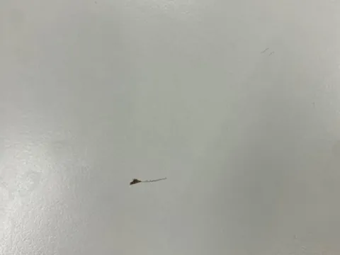 퍼시스 비콘 2400 회의테이블 사진 4
